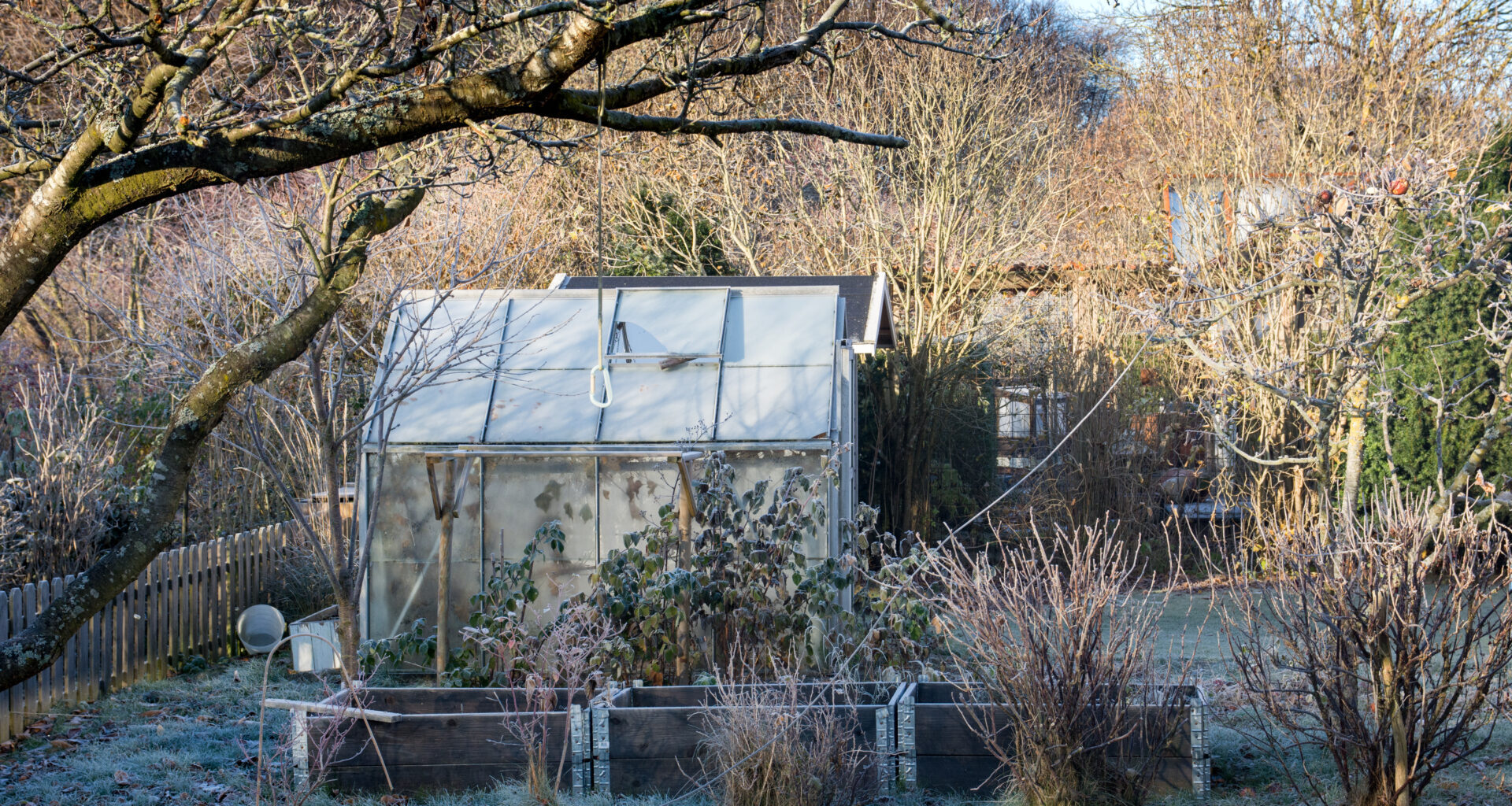 protéger votre jardin pour l'hiver