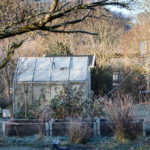 protéger votre jardin pour l'hiver