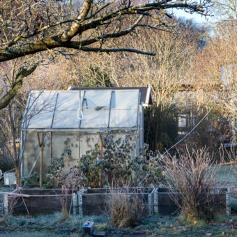 protéger votre jardin pour l'hiver