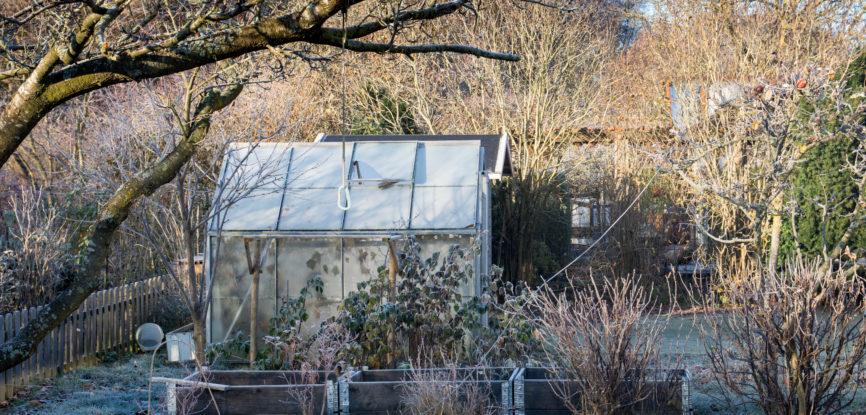 protéger votre jardin pour l'hiver