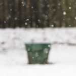 6 réflexes pour assurer la protection de vos plantes pendant l'hiver pot à plante en hiver