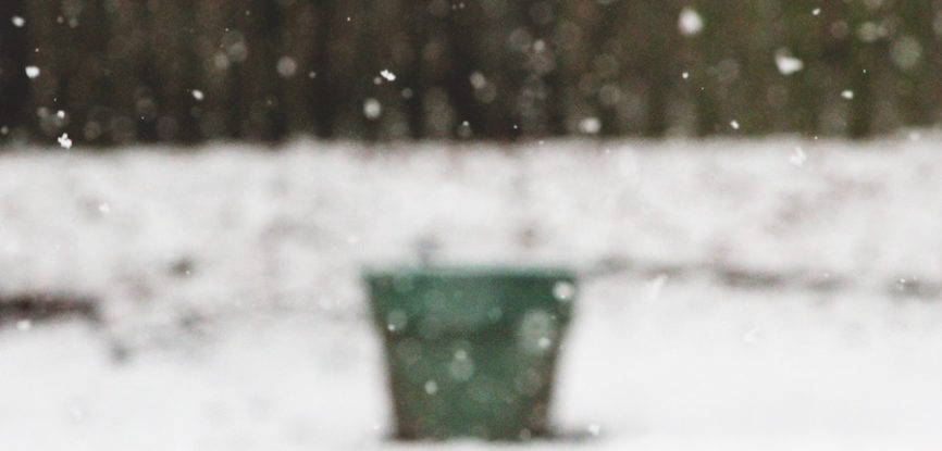 pot à plante en hiver
