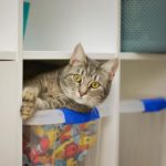 ranger son intérieur illustré par un meuble de rangement