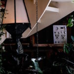 Intérieur escalier avec plantes