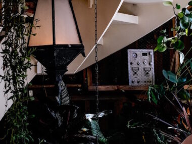 Intérieur escalier avec plantes