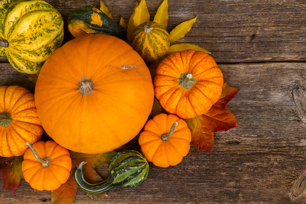 Citrouilles vues du dessus