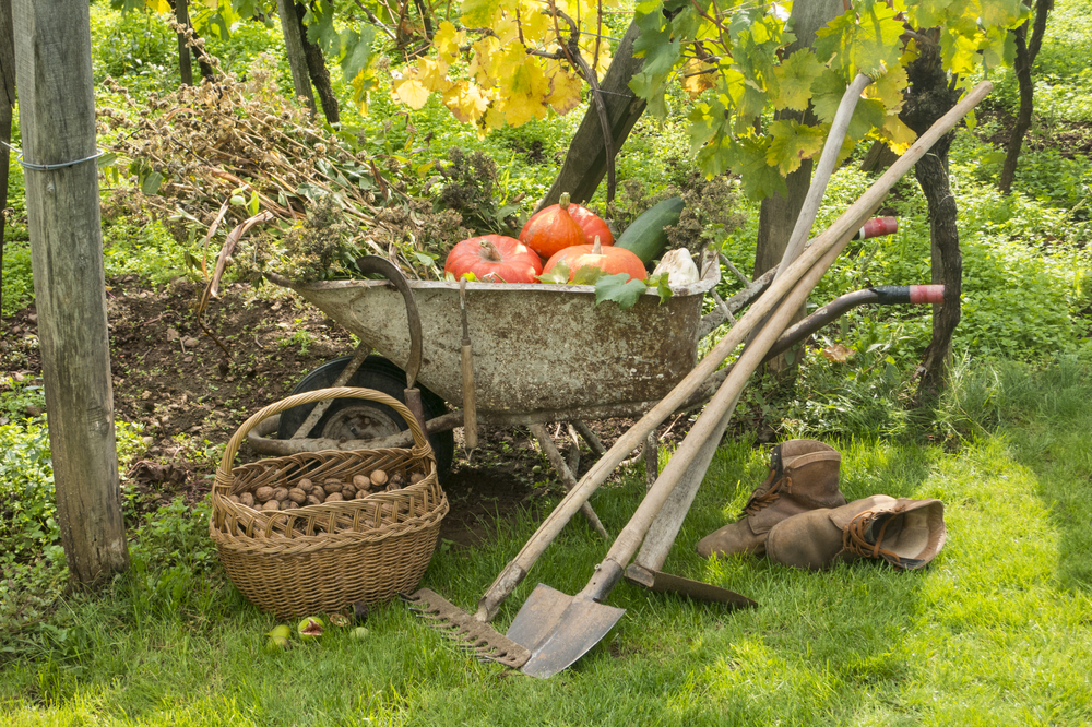 Brouette avec récolte de fruits et légumes d'automne