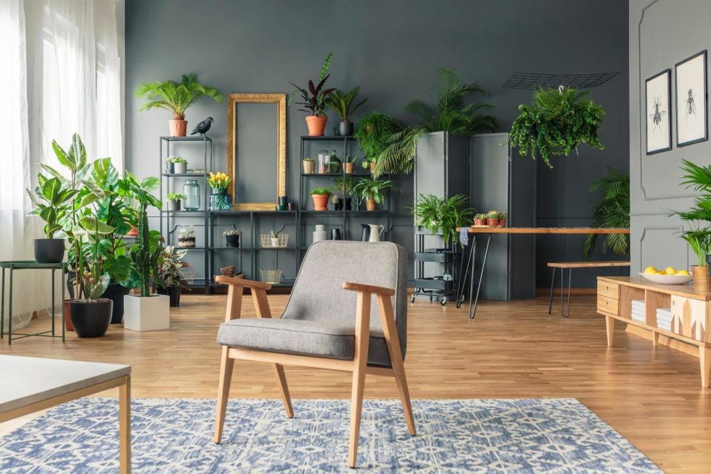 Pourquoi investir dans des plantes pour votre intérieur ? Un salon décoré avec des plantes vertes