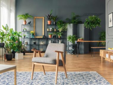 Un salon décoré avec des plantes vertes