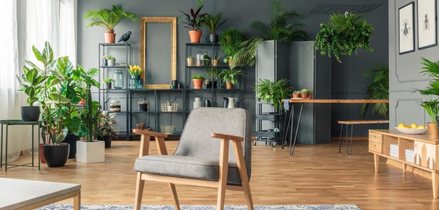 Un salon décoré avec des plantes vertes