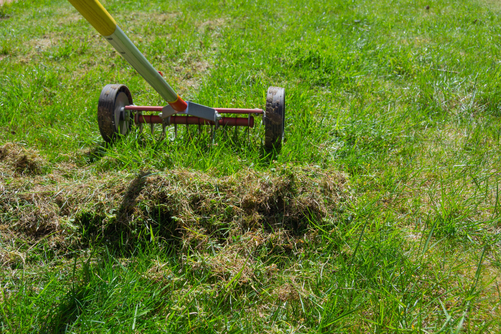 Gros plan sur scarificateur à main en train de scarifier