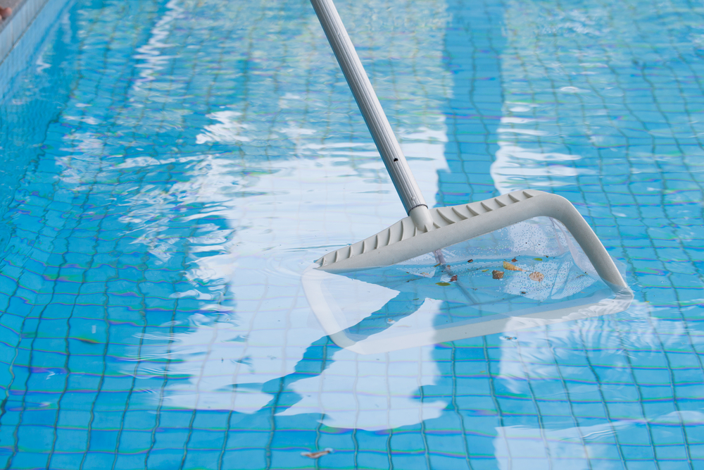 Nettoyage de la piscine avec une épuisette