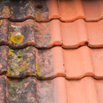 Nettoyage toiture avant/après