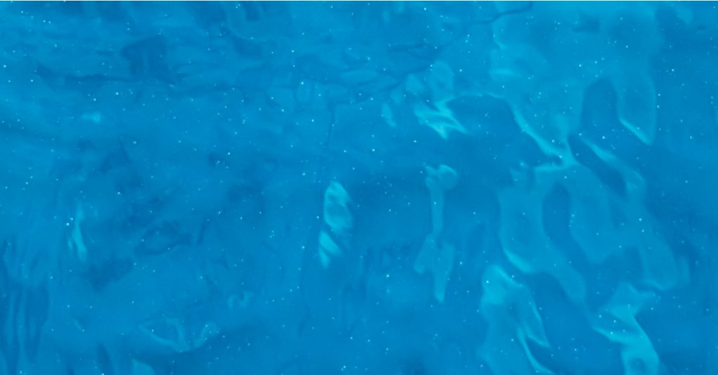 Piscine naturelle ou traditionnelle : faites votre choix