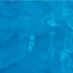 Piscine naturelle ou traditionnelle : faites votre choix