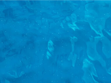 Piscine naturelle ou traditionnelle : faites votre choix