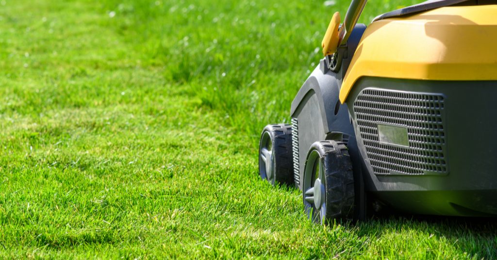 Passez la tondeuse pendant l'été