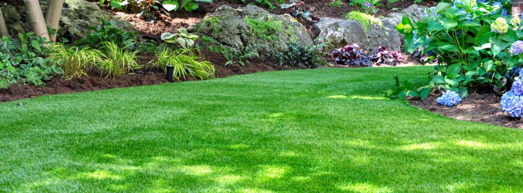 Entretenir sa pelouse toute l'année