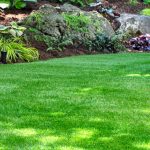Entretenir sa pelouse toute l'année