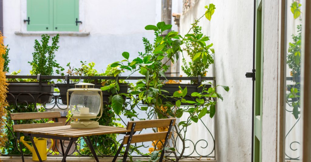 Plantes sur balcon pour plus d'intimité par rapport aux vis à vis