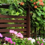 Profitez d'une belle terrasse fleurie tout au long de l'année