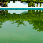 Comment rattraper une eau verte de piscine