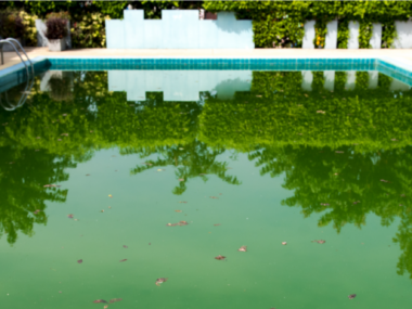 Comment rattraper une eau verte de piscine