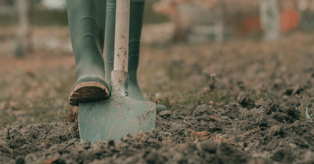 Jardin potager nettoyez et aérez la terre
