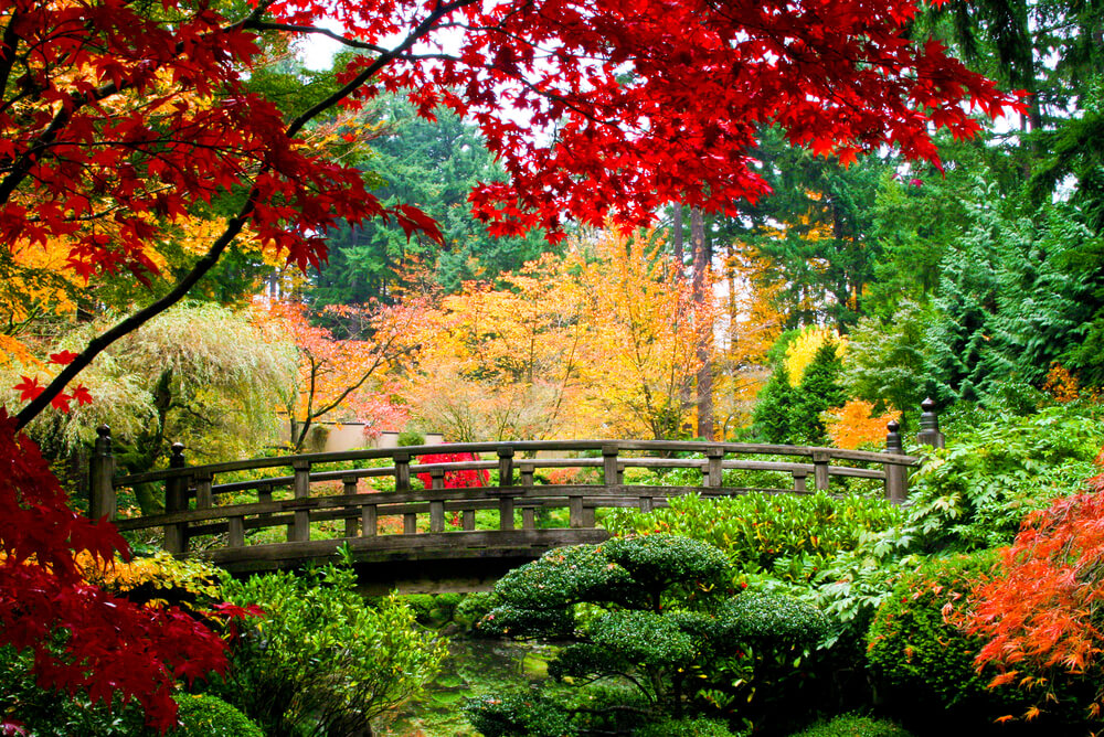 Aménager un jardin japonais : les 5 éléments majeurs