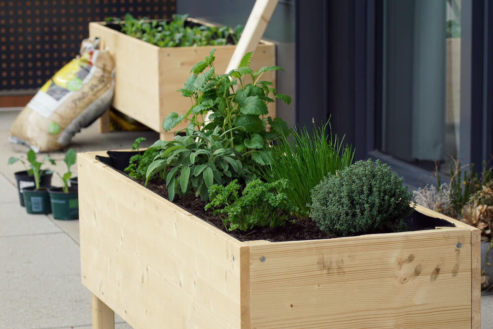 Jardinière pour balcon ou terrasse : comment la choisir, adopter