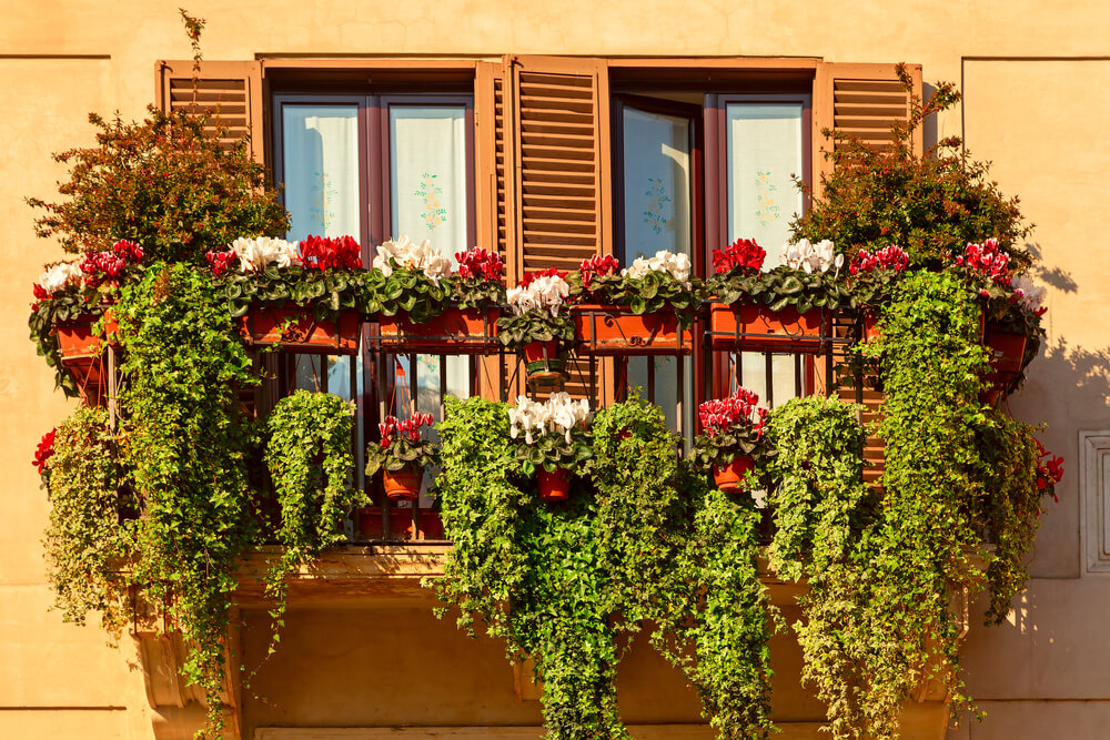 Balcon végétalisé avec plantes tombantes et jardinières fleuries