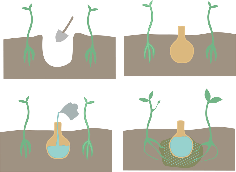 4 vignettes qui expliquent le fonctionnement d’un oya pour irriguer les plantes dans la terre