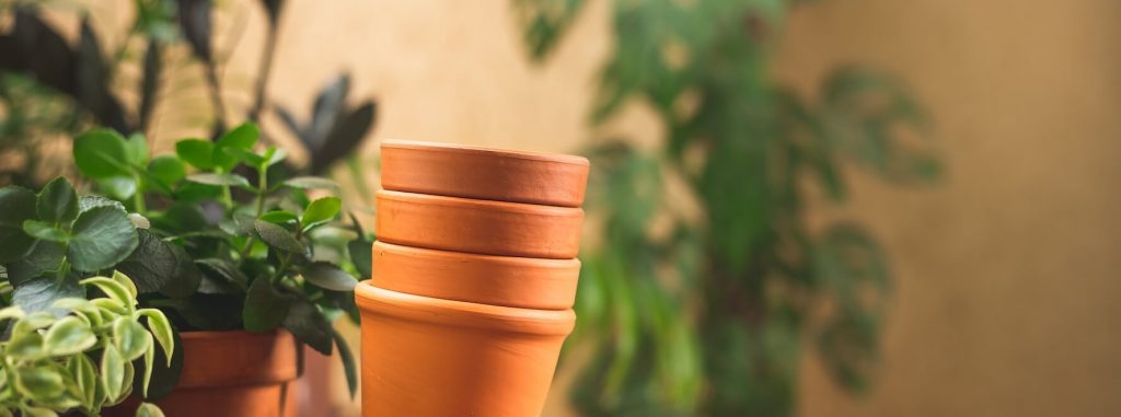 Pots en terre cuite empilés entourés de plantes vertes au premier plan et à l’arrière plan