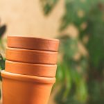 Pots en terre cuite empilés entourés de plantes vertes au premier plan et à l’arrière plan
