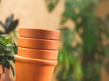 Pots en terre cuite empilés entourés de plantes vertes au premier plan et à l’arrière plan